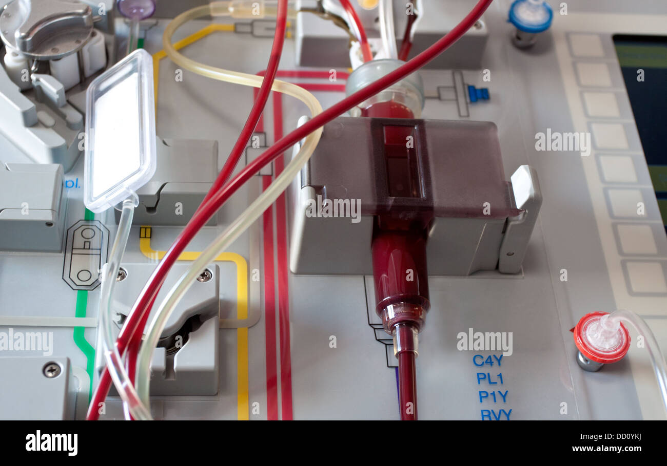 Stem cells hi-res stock photography and images - Alamy