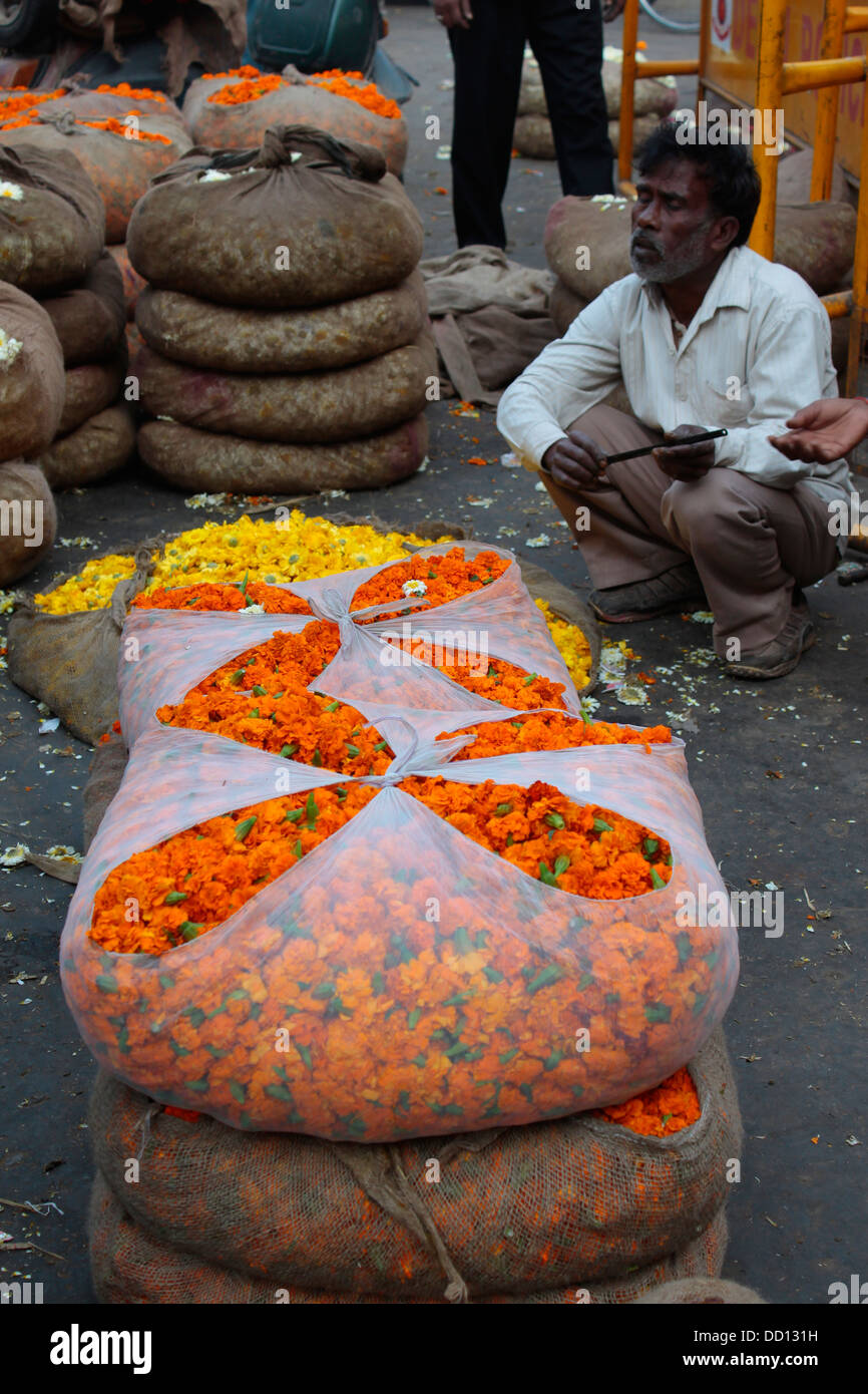 A flower seller waits for buyers for his marigolds at the Chandni Chowk flower market in Old Delhi, India. Stock Photo