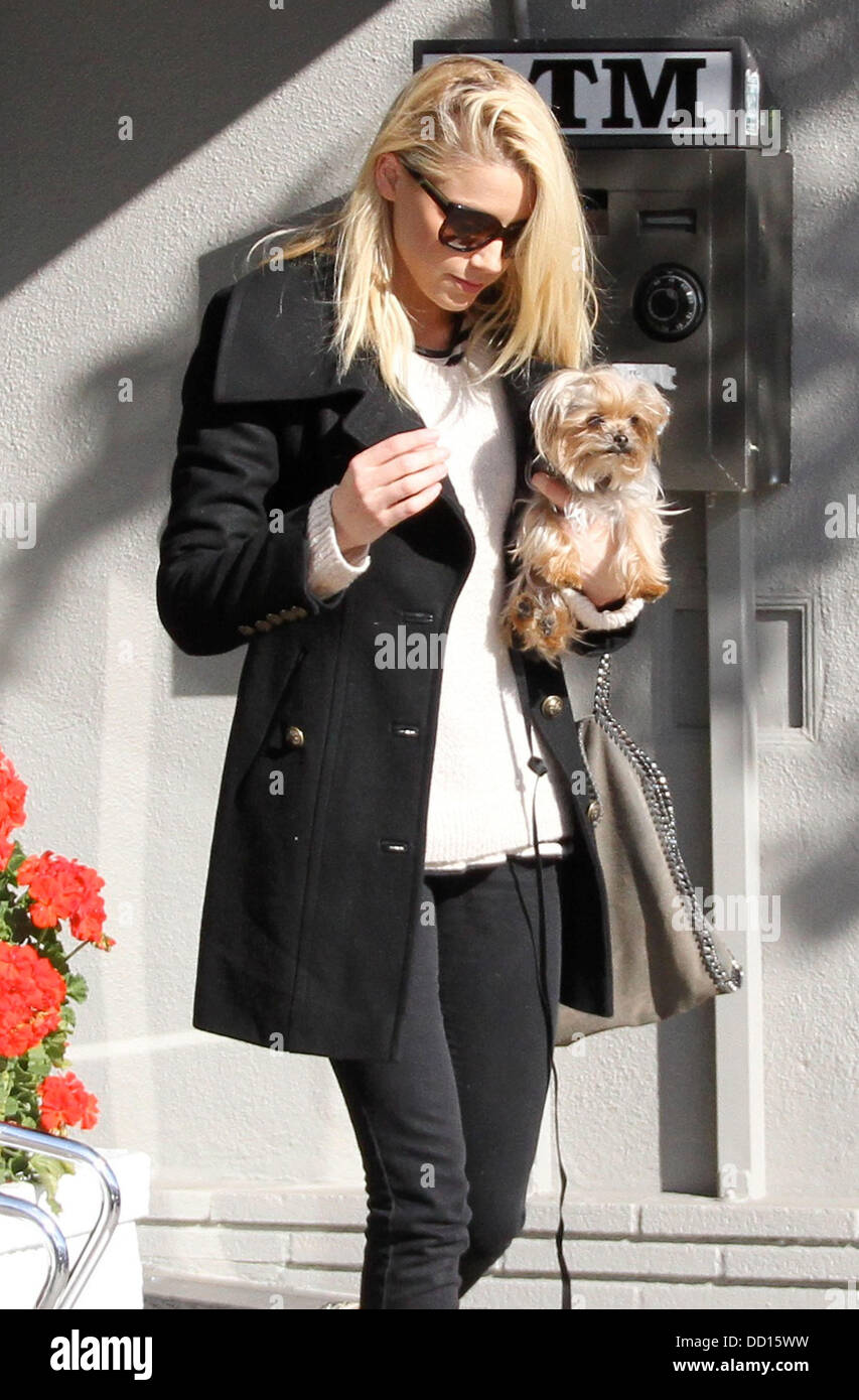 2022 Latest Amber Heard Dog Bee Sting amber heard full biography