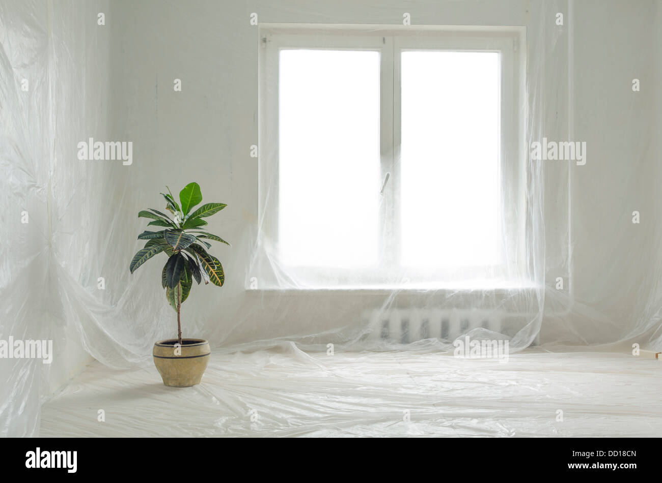 home renovation interior protected by thin plastic film with green plant in big ceramic pot Stock Photo