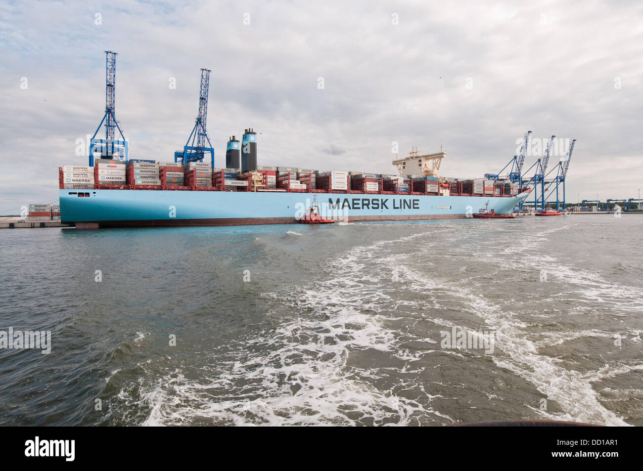 GDANSK, POLAND. 21st August , 2013. World largest container ship Maersk Mc-Kinney Møller Triple E class vessel operated by Maersk Line from Denmark arrives to Gdansk's Deepwater Container Terminal 1 (DCT) in Gdansk during it's first journey from Asia to Europe. The ship is 400 meters long, 59 meters wide and 100 meters high. It has cargo capacity of 18,270 TEU containers. DCT is the one and only port on the Baltic side of the Danish Straits that can manage so huge ships. Credit:  kpzfoto/Alamy Live News Stock Photo