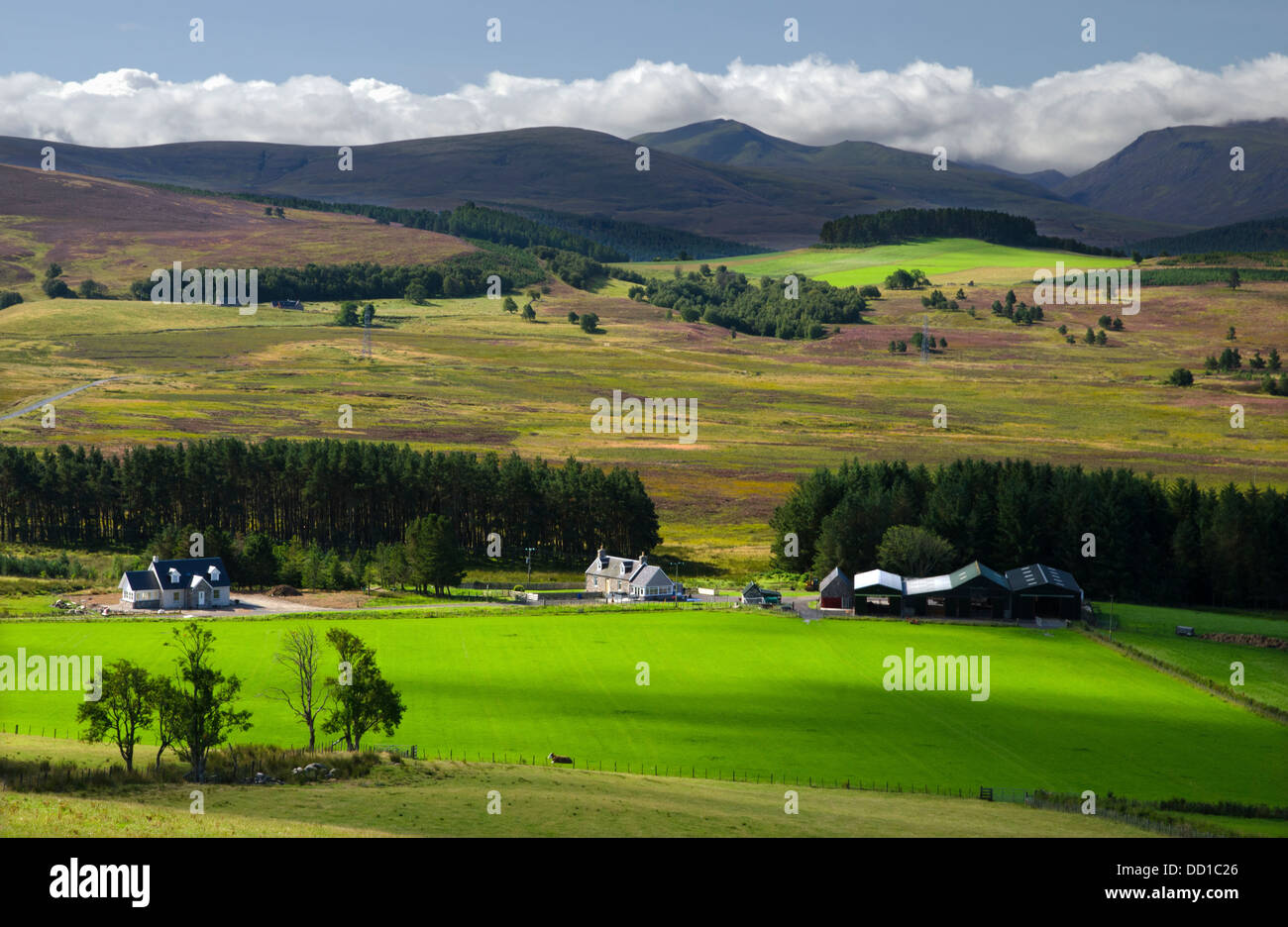 farmland,agriculture,fields,mountains,cairngorms national park,highlands,scotland Stock Photo