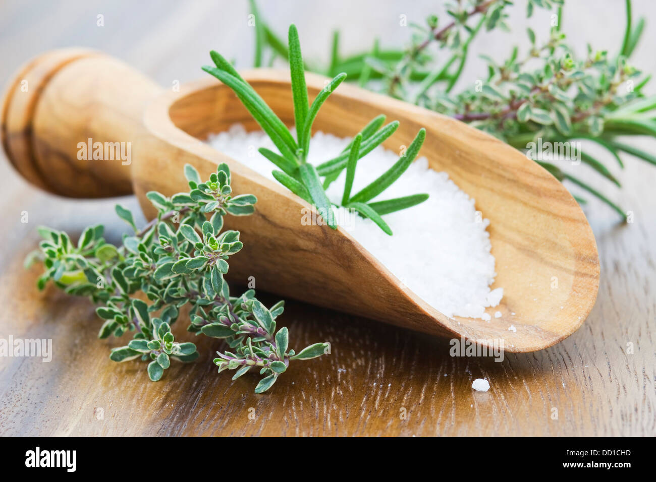 sea salt with herbs Stock Photo Alamy