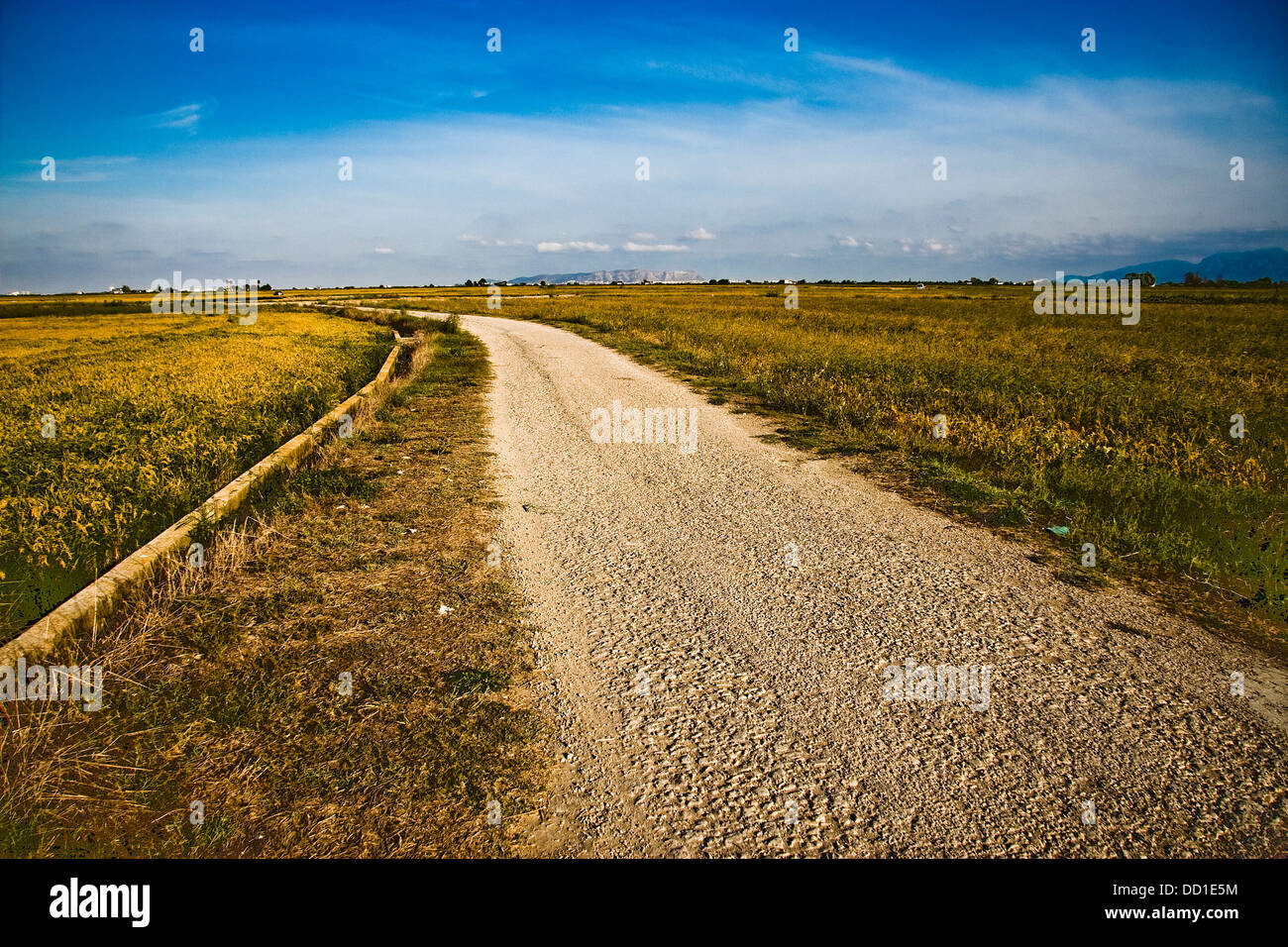 Spain Rice Fields Rice fields valencia spain hi-res stock photography and images - Alamy