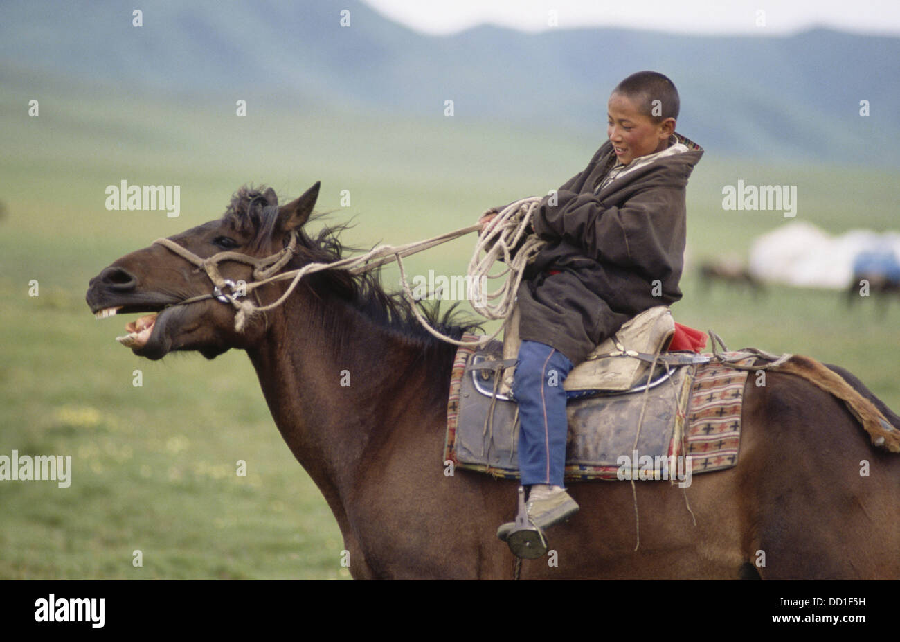 Boy riding a horse hi-res stock photography and images - Alamy