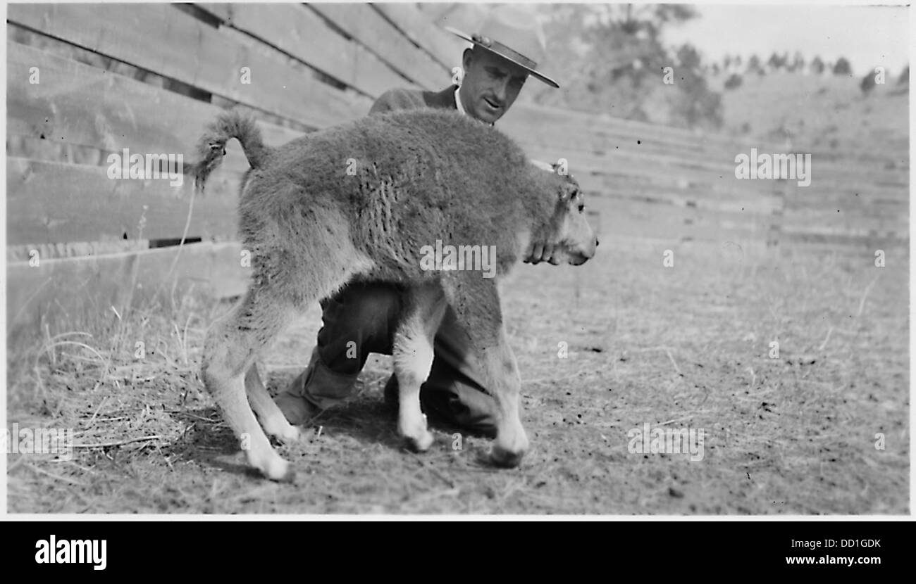 Usa park ranger Black and White Stock Photos & Images - Alamy