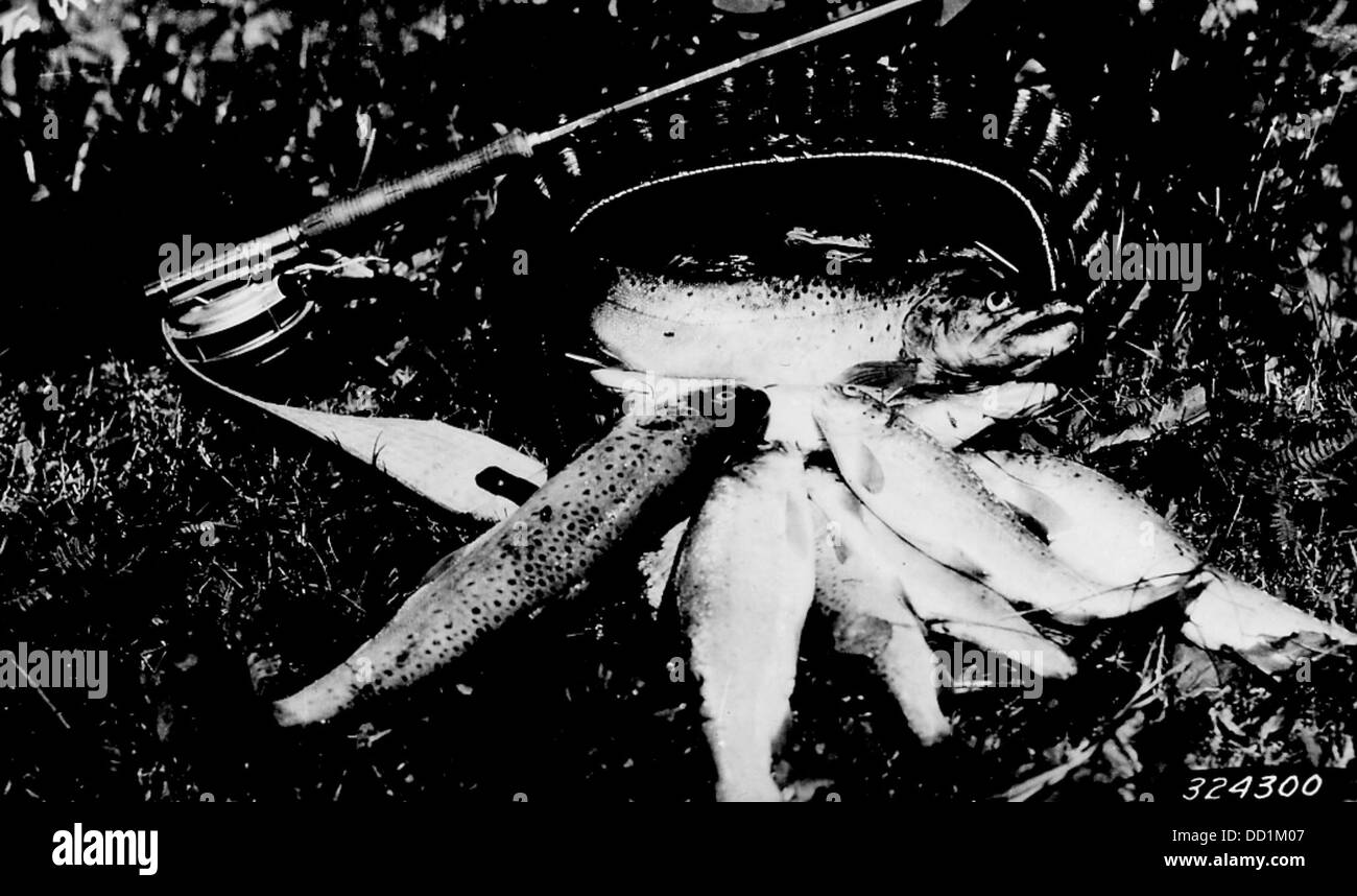 a Fish Catch in Delta, Wisconsin 2127715 Stock Photo Alamy