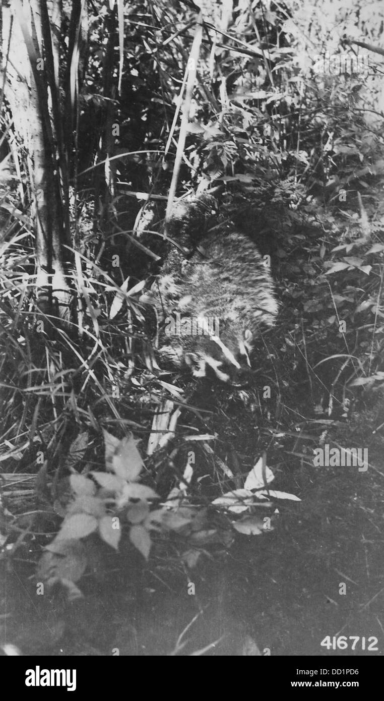 Argonne national Black and White Stock Photos & Images Alamy