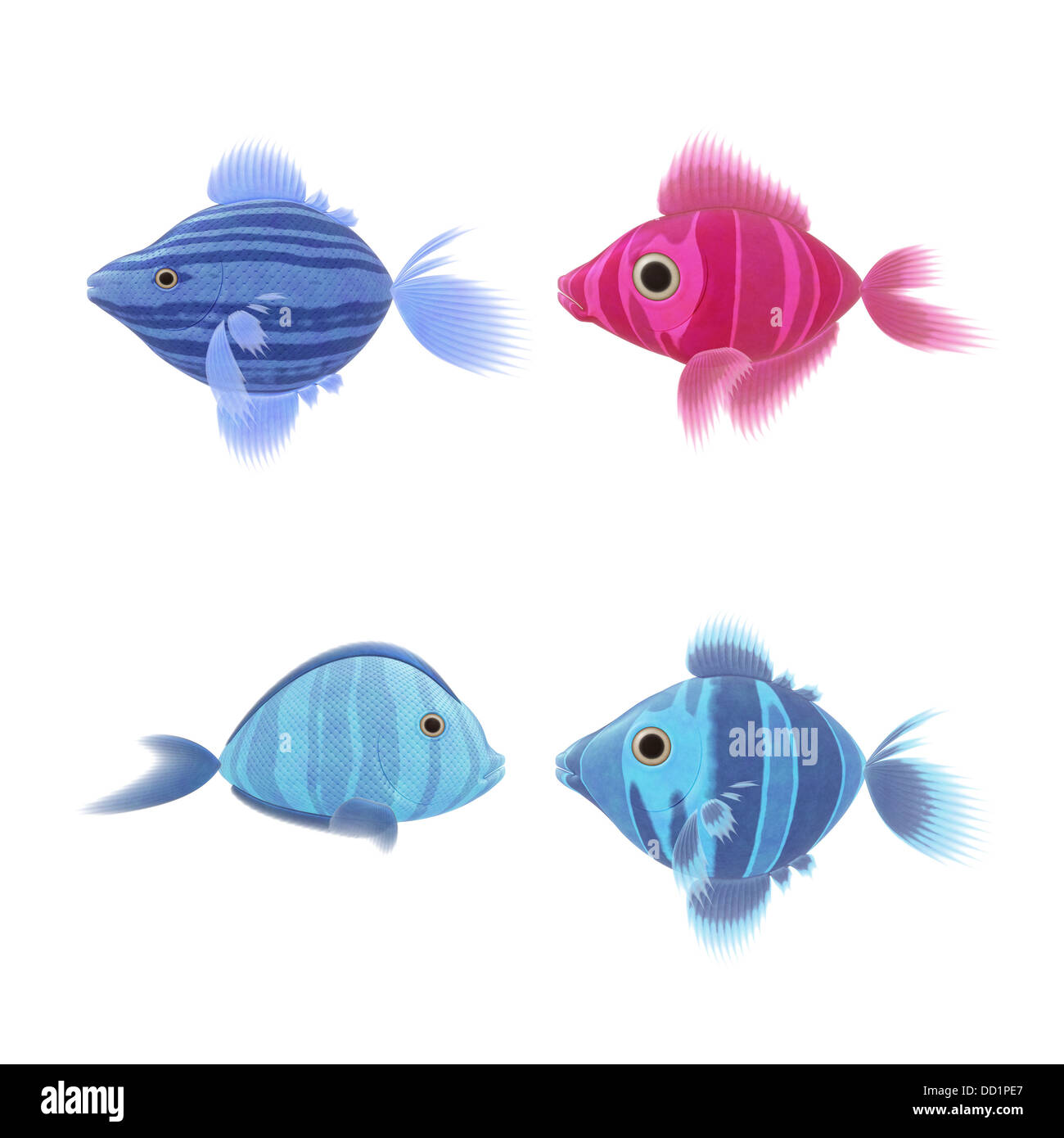Colorful fish illustration hi-res stock photography and images - Alamy