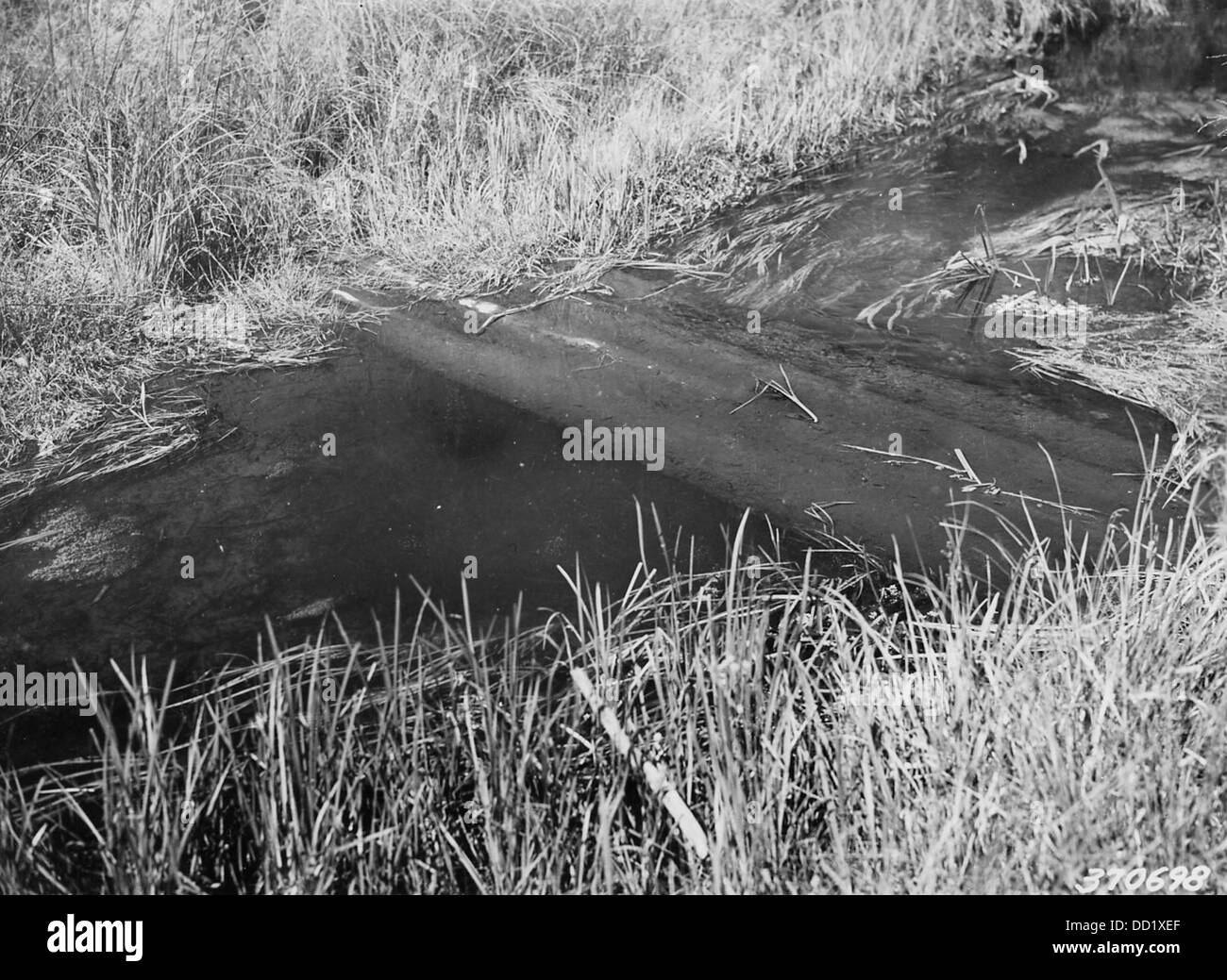 History dig Black and White Stock Photos & Images - Alamy