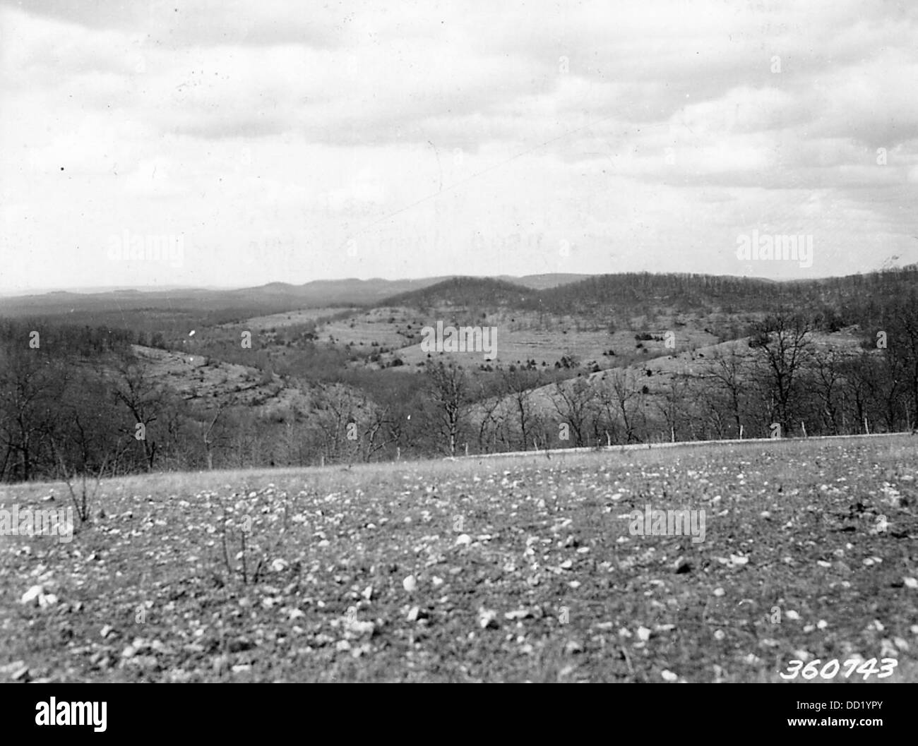 Extensive Area of Glades Covered with Grasses 2127915 Stock Photo