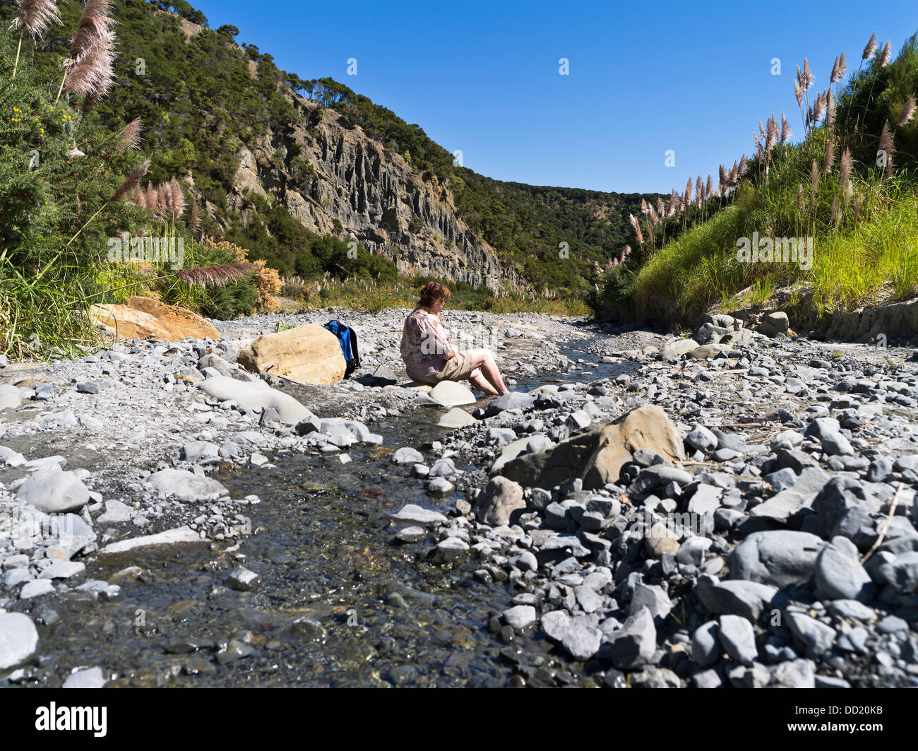 dh Aorangi Ranges WAIRARAPA NEW ZEALAND Woman tourist hiker cooling feet in stoney creek toi toi grasses streams Stock Photo