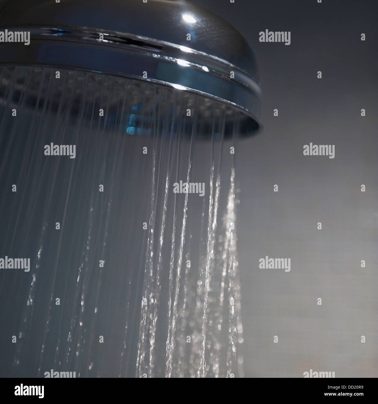 Water Coming Out Of A Showerhead Stock Photo Alamy