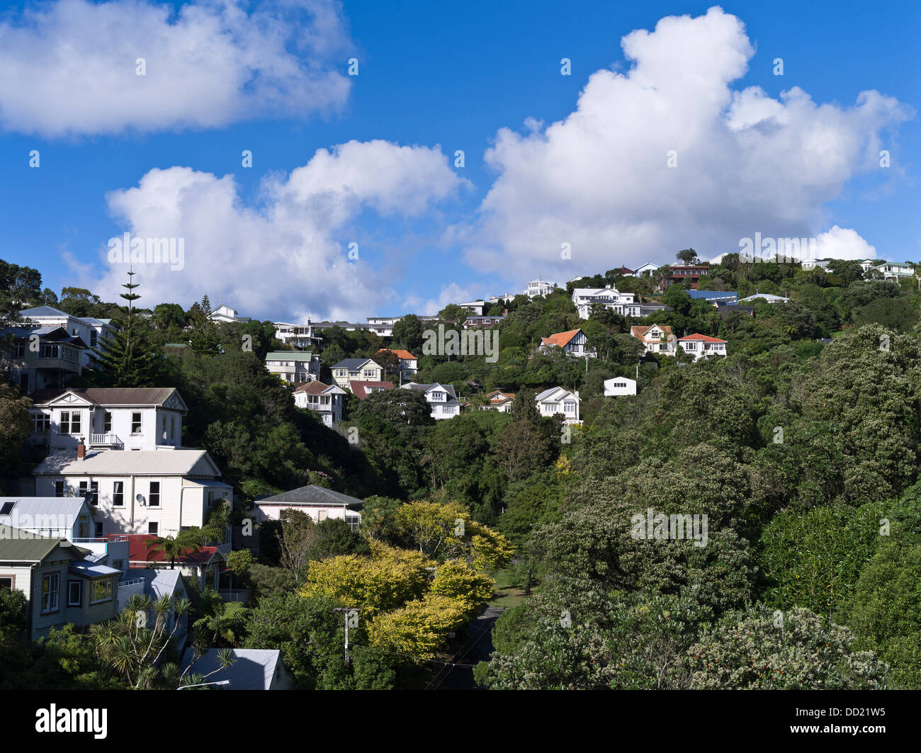 dh  WELLINGTON NEW ZEALAND Houses Hillside suburban residential house suburbs Stock Photo