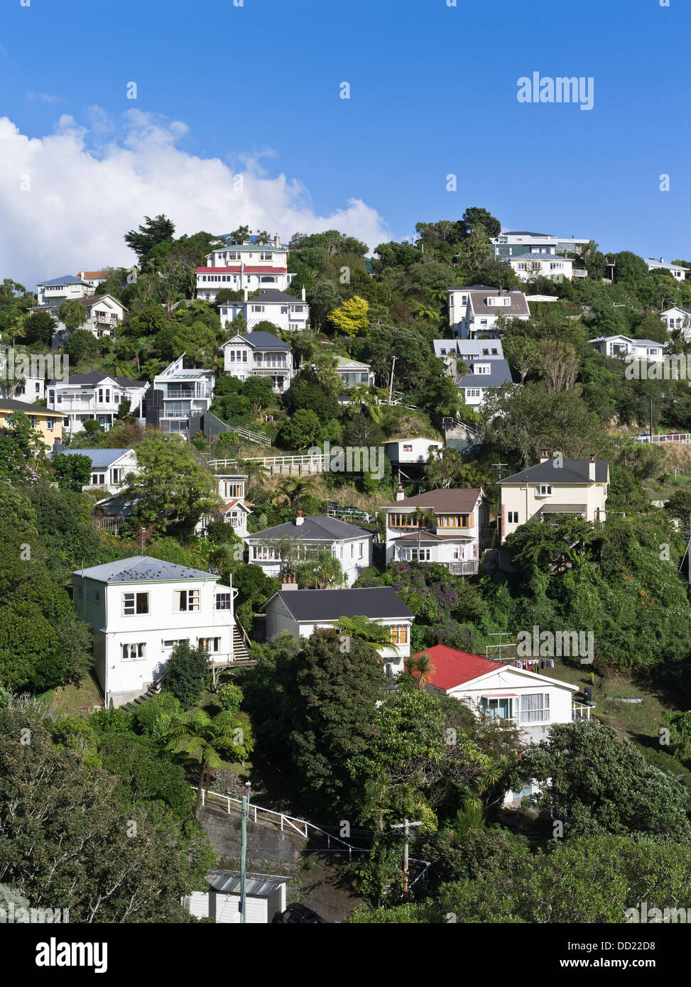 dh  WELLINGTON NEW ZEALAND House Hillside suburban residential houses Stock Photo