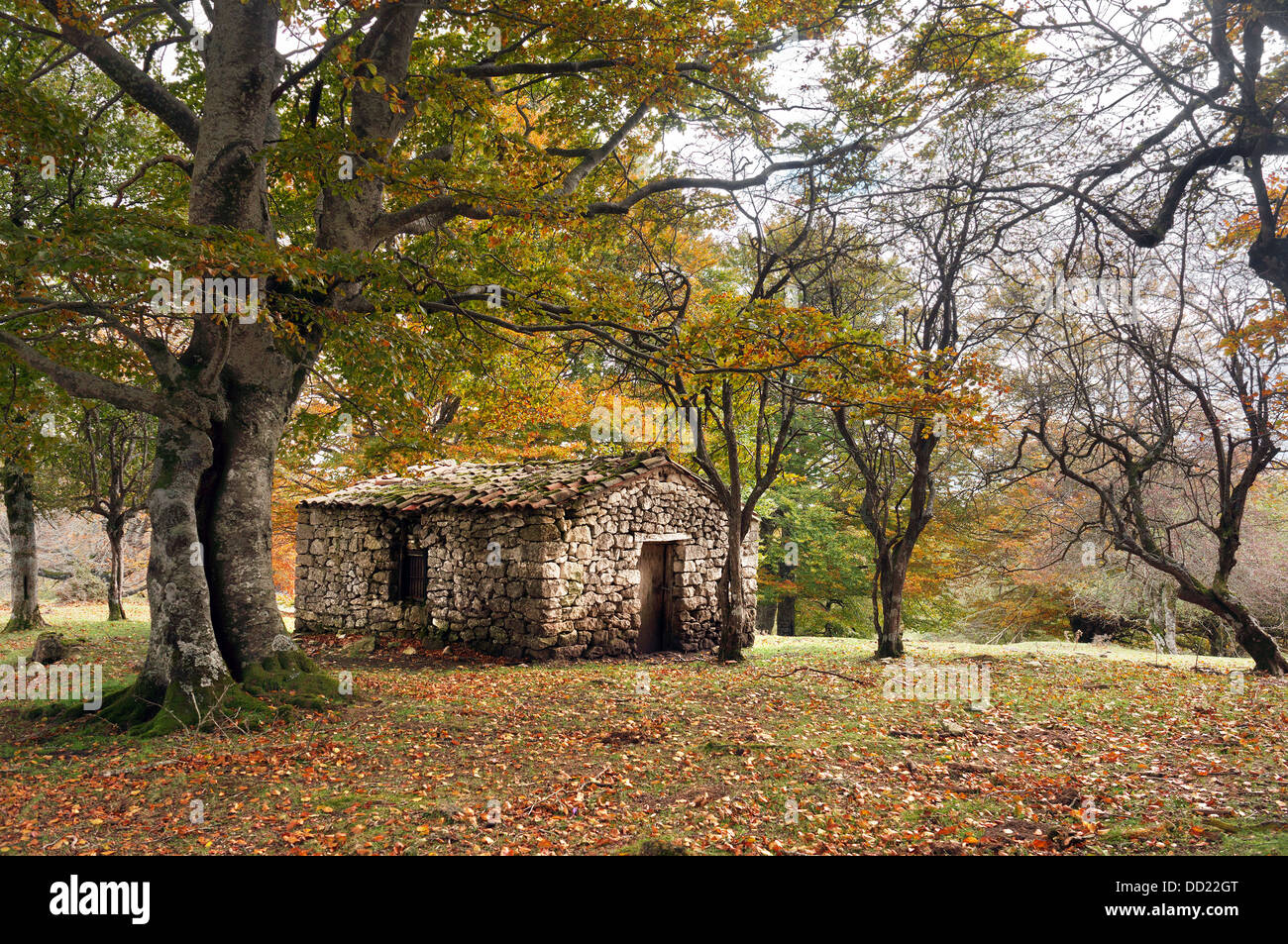 Stone cabin hi-res stock photography and images - Alamy