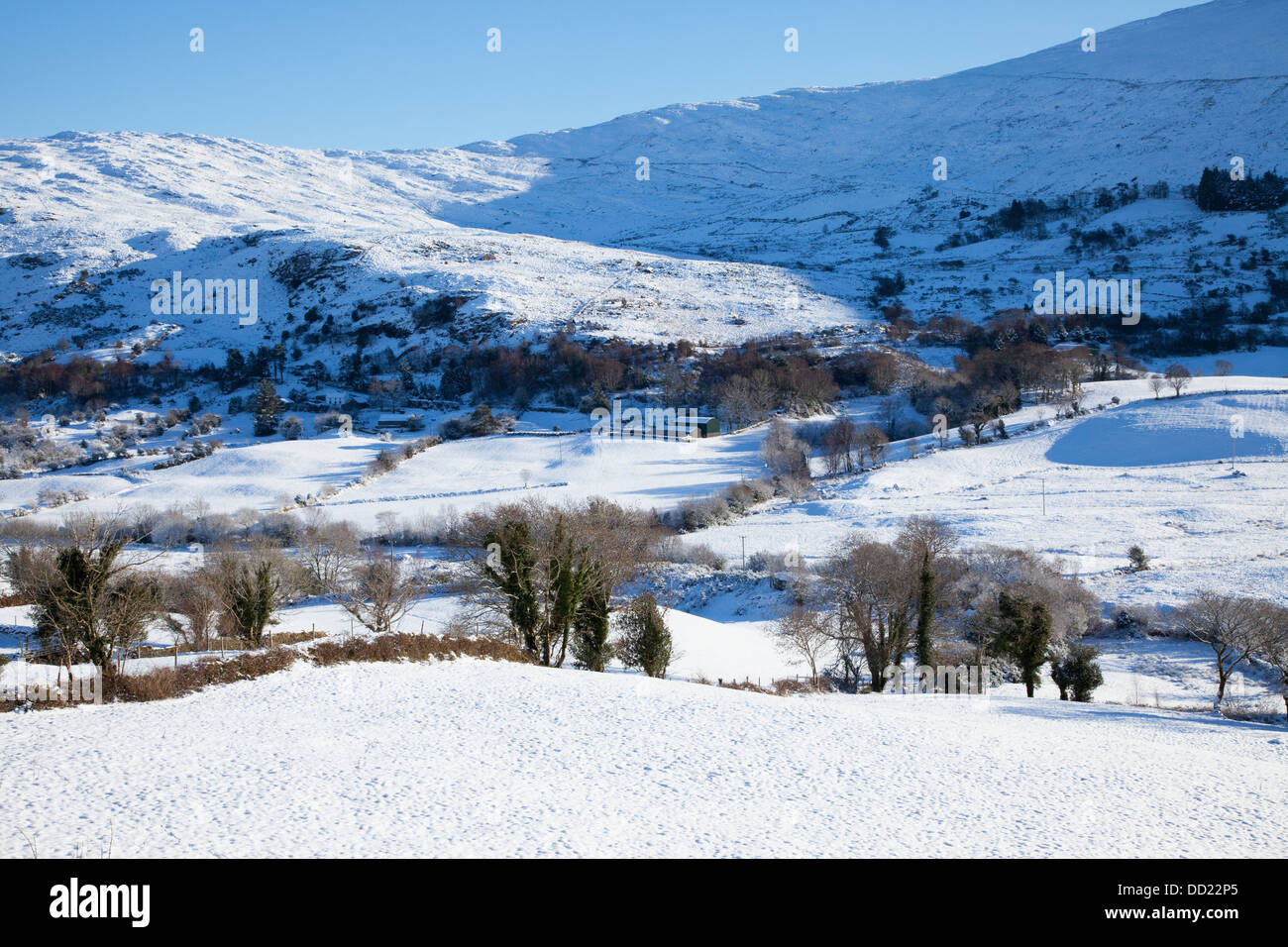 Bonane hi-res stock photography and images - Alamy