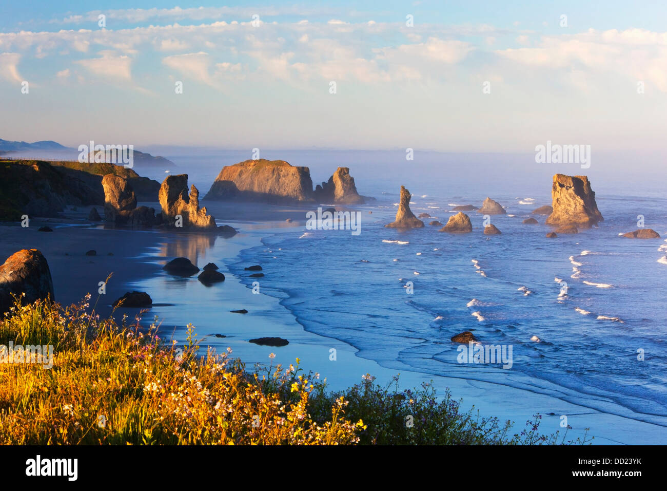 Fog Covers Rock Formations Along The Coast At Bandon State Park; Bandon, Oregon, United States of America Stock Photo