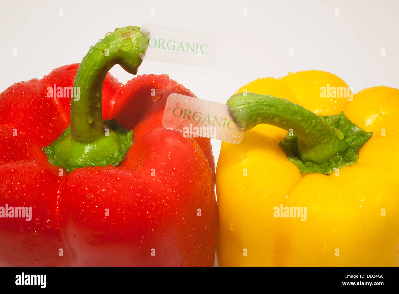 Bell Peppers With Organic Labels; Waterloo, Quebec, Canada Stock Photo