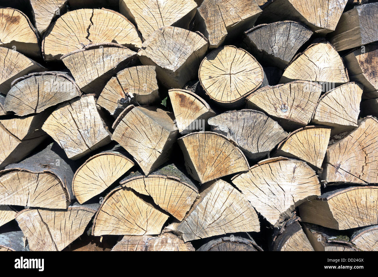 background with pattern of tree logs Stock Photo