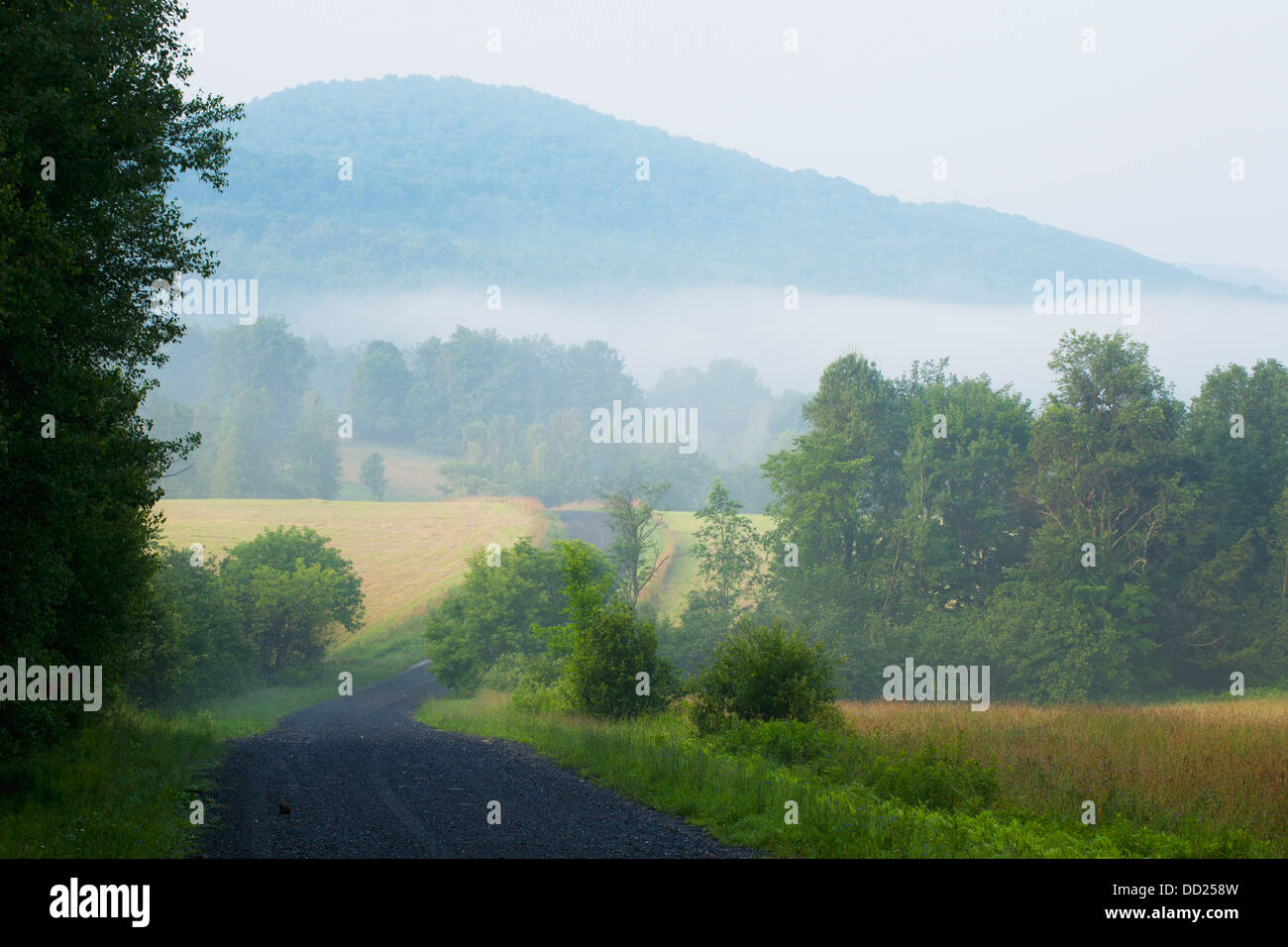A Country Road In The Early Morning Fog; Iron Hill, Quebec, Canada