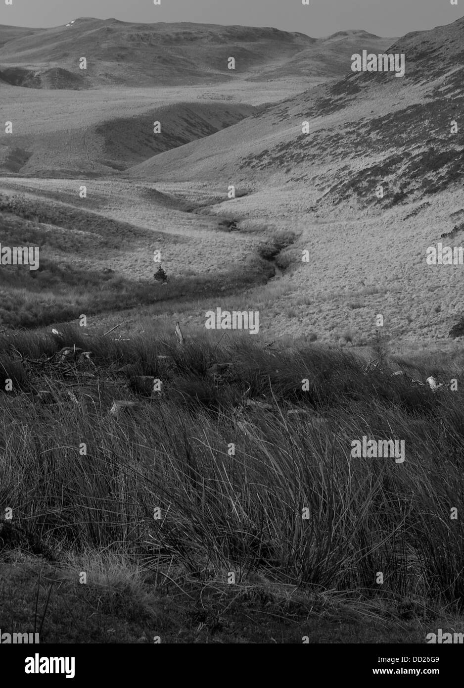Black & White  Picture of a Wild Mountain Valley, Wales, United Kingdom Stock Photo