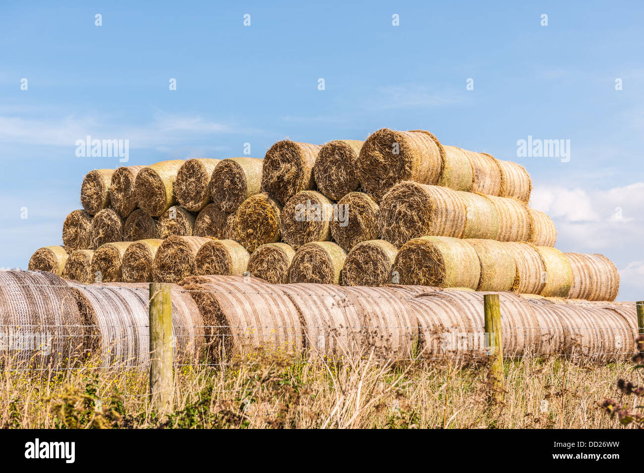 Large straw bales hires stock photography and images Alamy