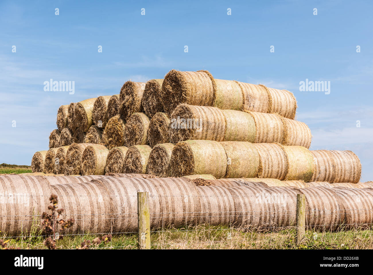 STACKED LARGE ROUND BALES OF STRAW Stock Photo Alamy