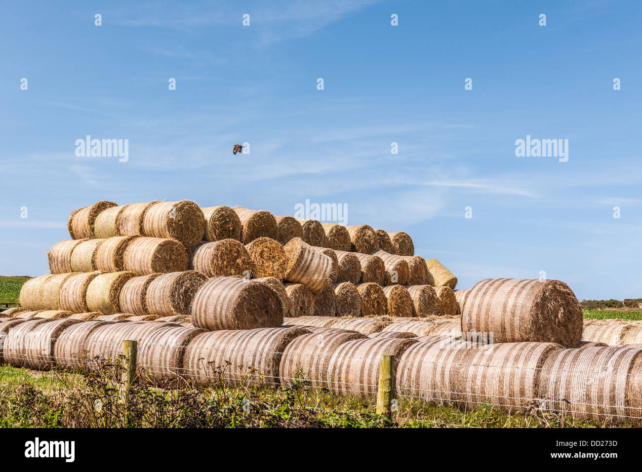 Large straw bales hires stock photography and images Alamy