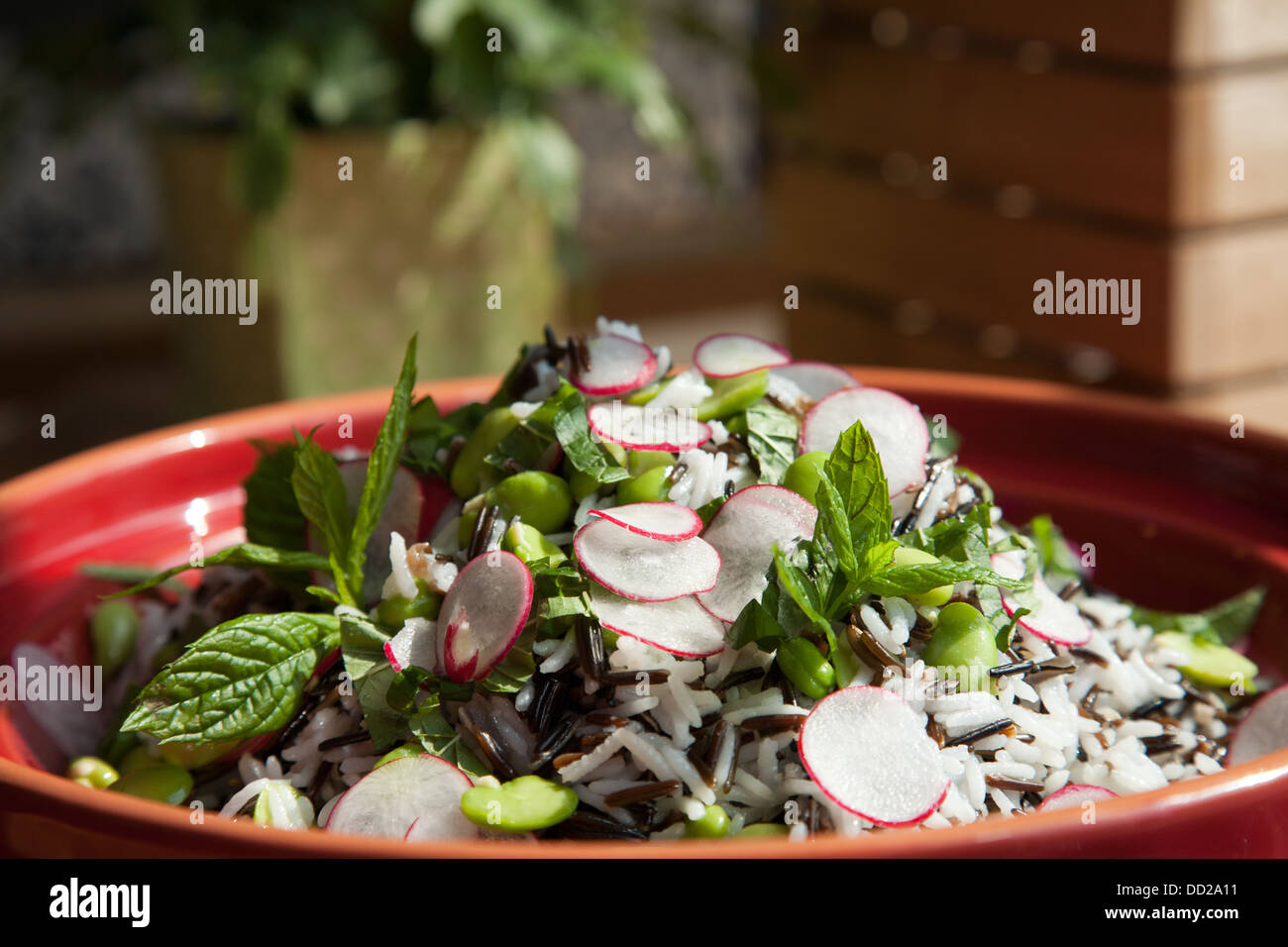 Wild rice and broad bean salad Stock Photo Alamy