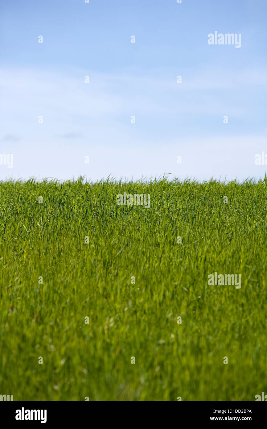 Land cloud sky outdoors landscape hi-res stock photography and images ...