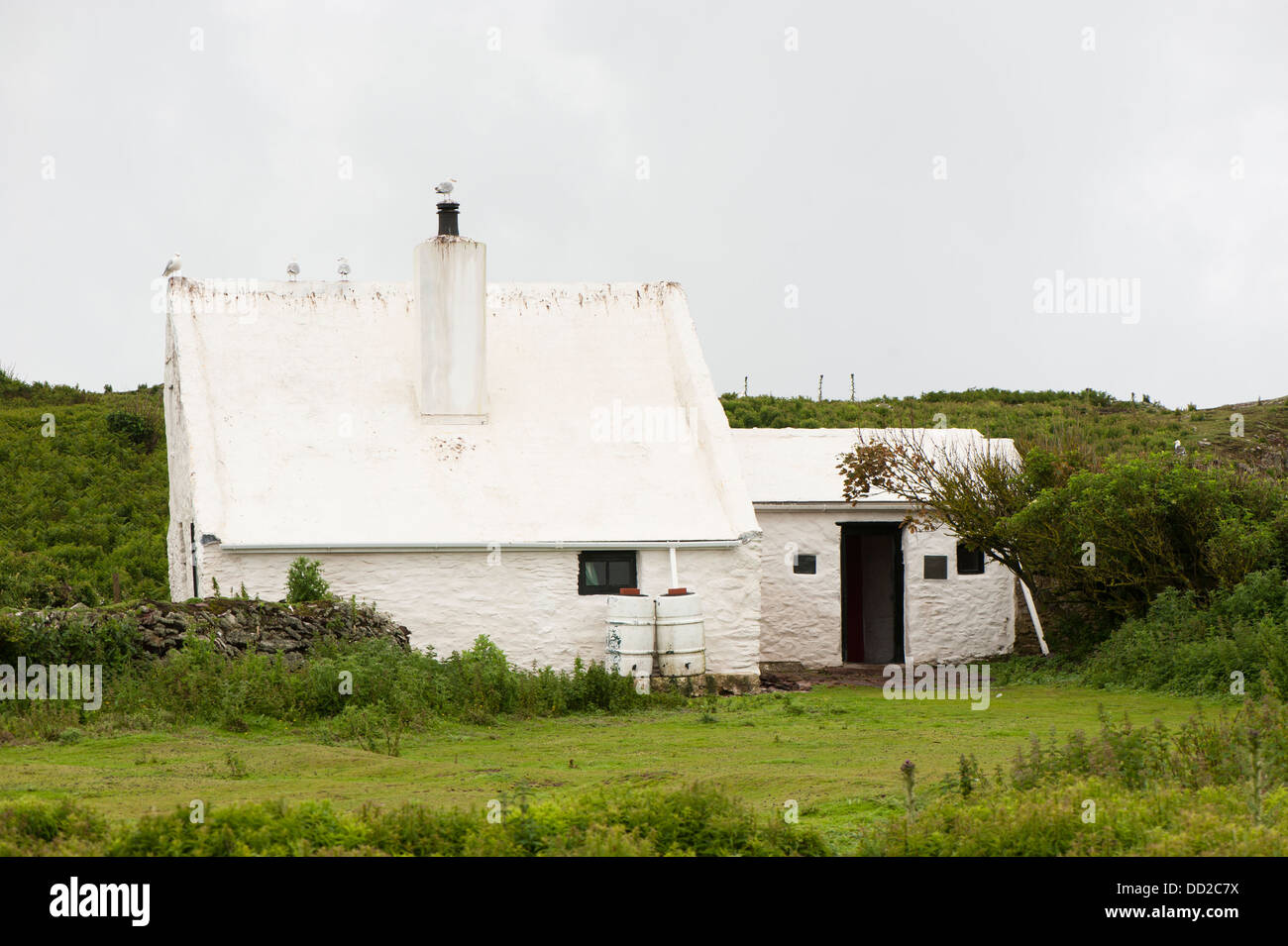 The Farm building, Skokholm Island, South Pembrokeshire, Wales, United Kingdom Stock Photo