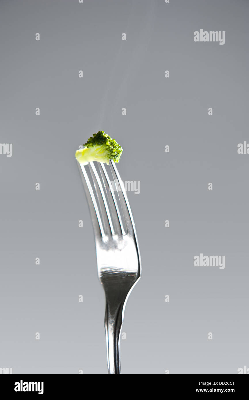 Steamy hot small piece of broccoli on tip of a sliver fork with a soft gray background. Stock Photo