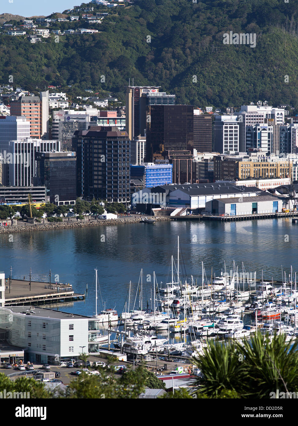 dh Lambton Harbour WELLINGTON NEW ZEALAND Chaffers Marina yachts Wellington Harbour waterfront city skyline cityscape view Stock Photo