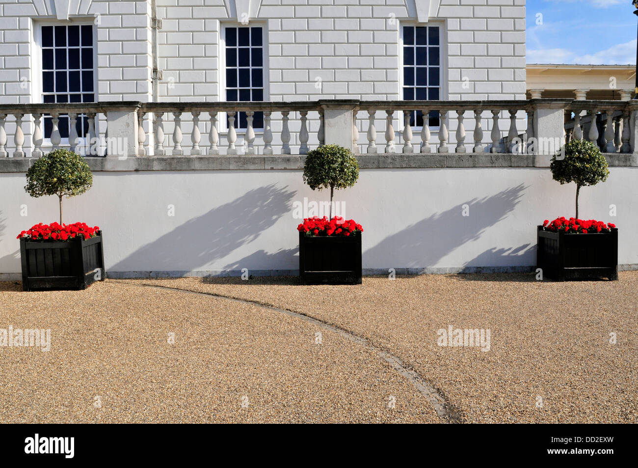 Three plants outside Queen's House in Greenwich, London, UK Stock Photo