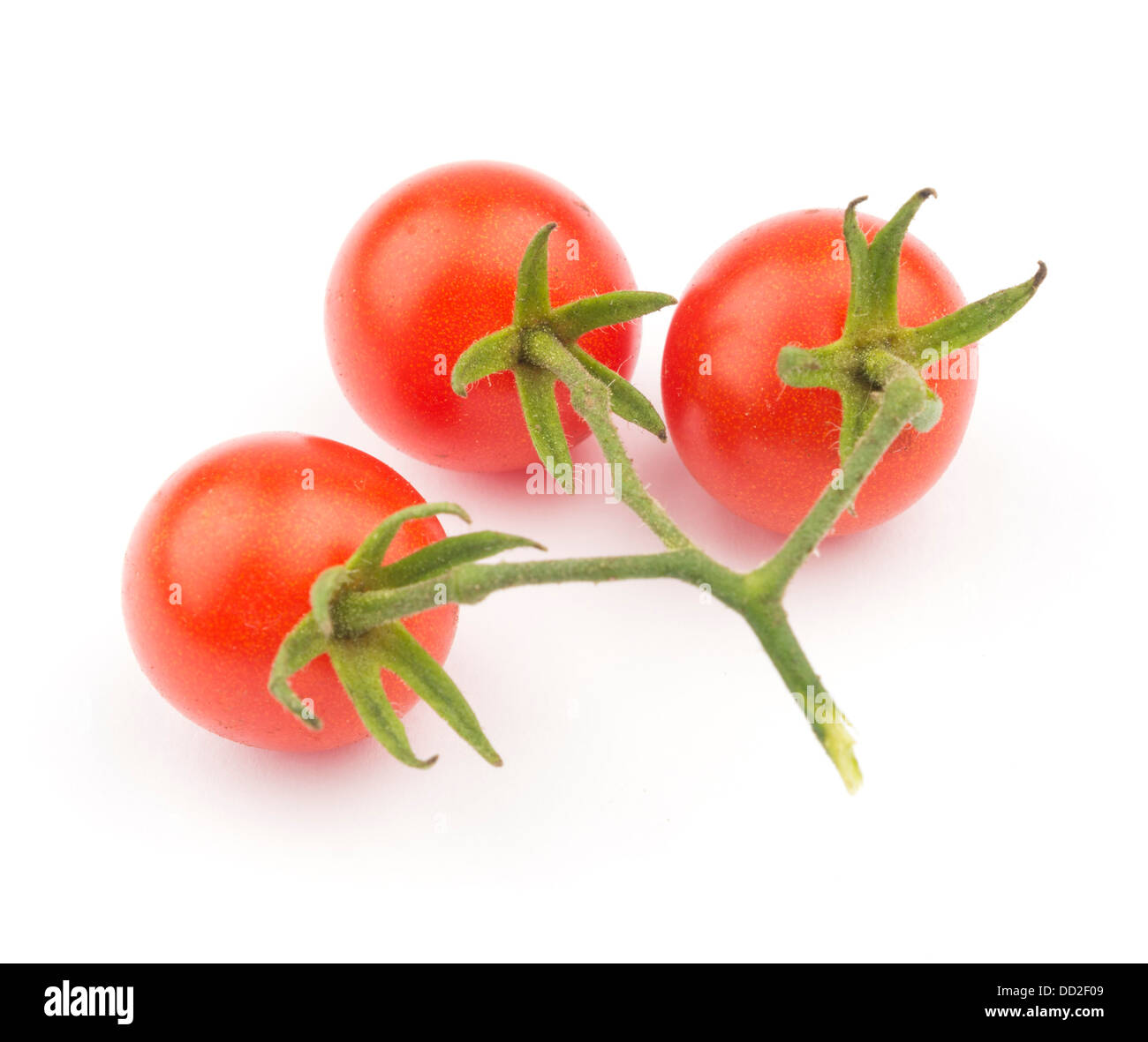Fresh cherry tomatoes cut out isolated on white background Stock Photo