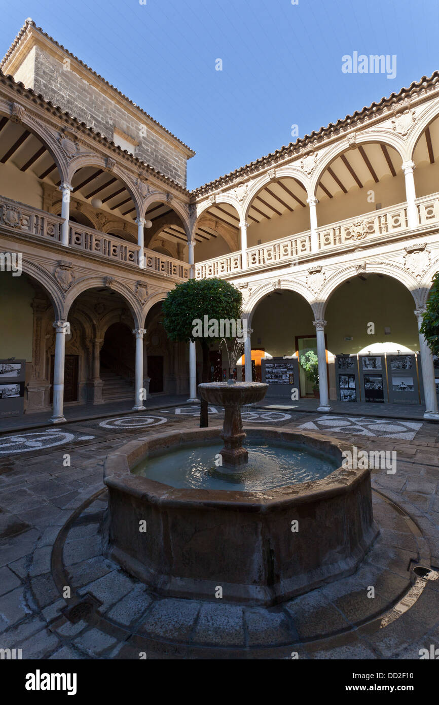 fountain of Jabalquinto´s palace. Stock Photo
