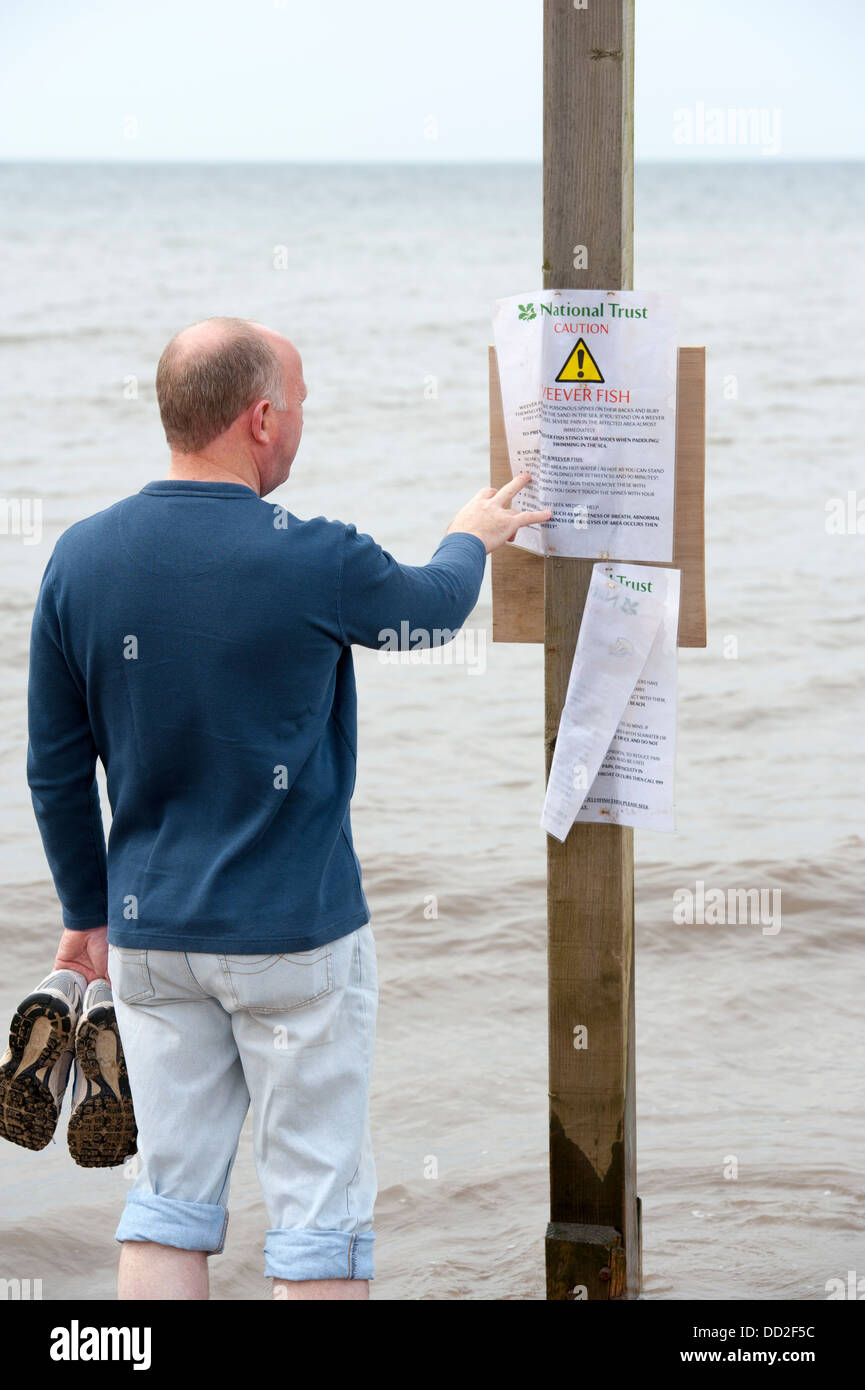 weever fish and jellyfish warning sign formby beach man reading Stock Photo