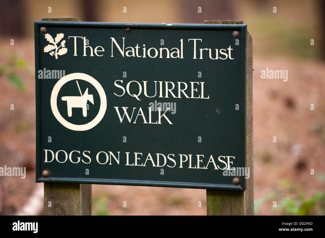 national trust squirrel walk formby beach sign Stock Photo