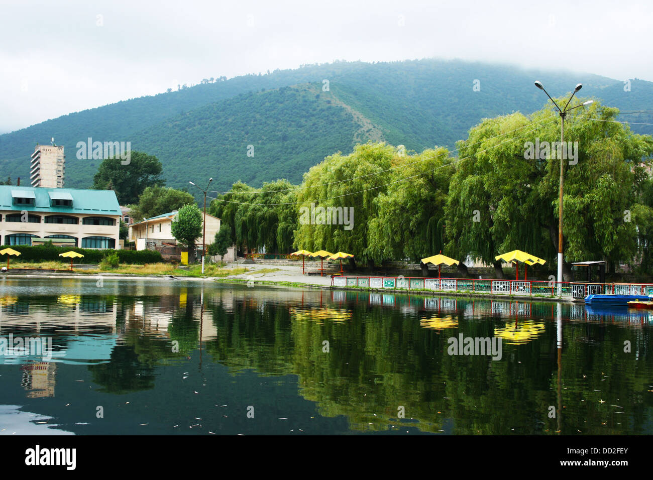 Willow trees at the lake in Vanadzor city, Armenia. Stock Photo