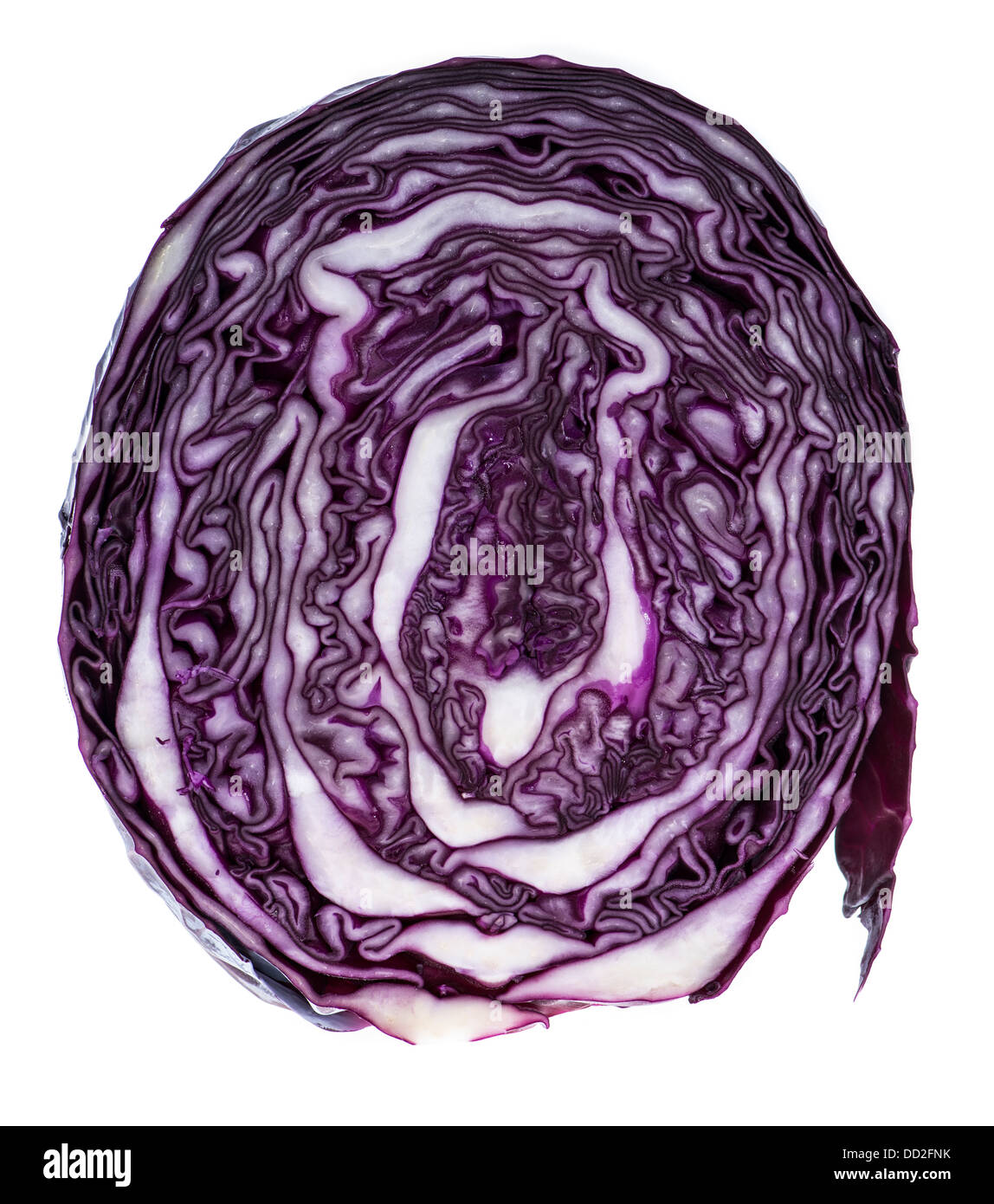 Red Cabbage isolated on white background Stock Photo