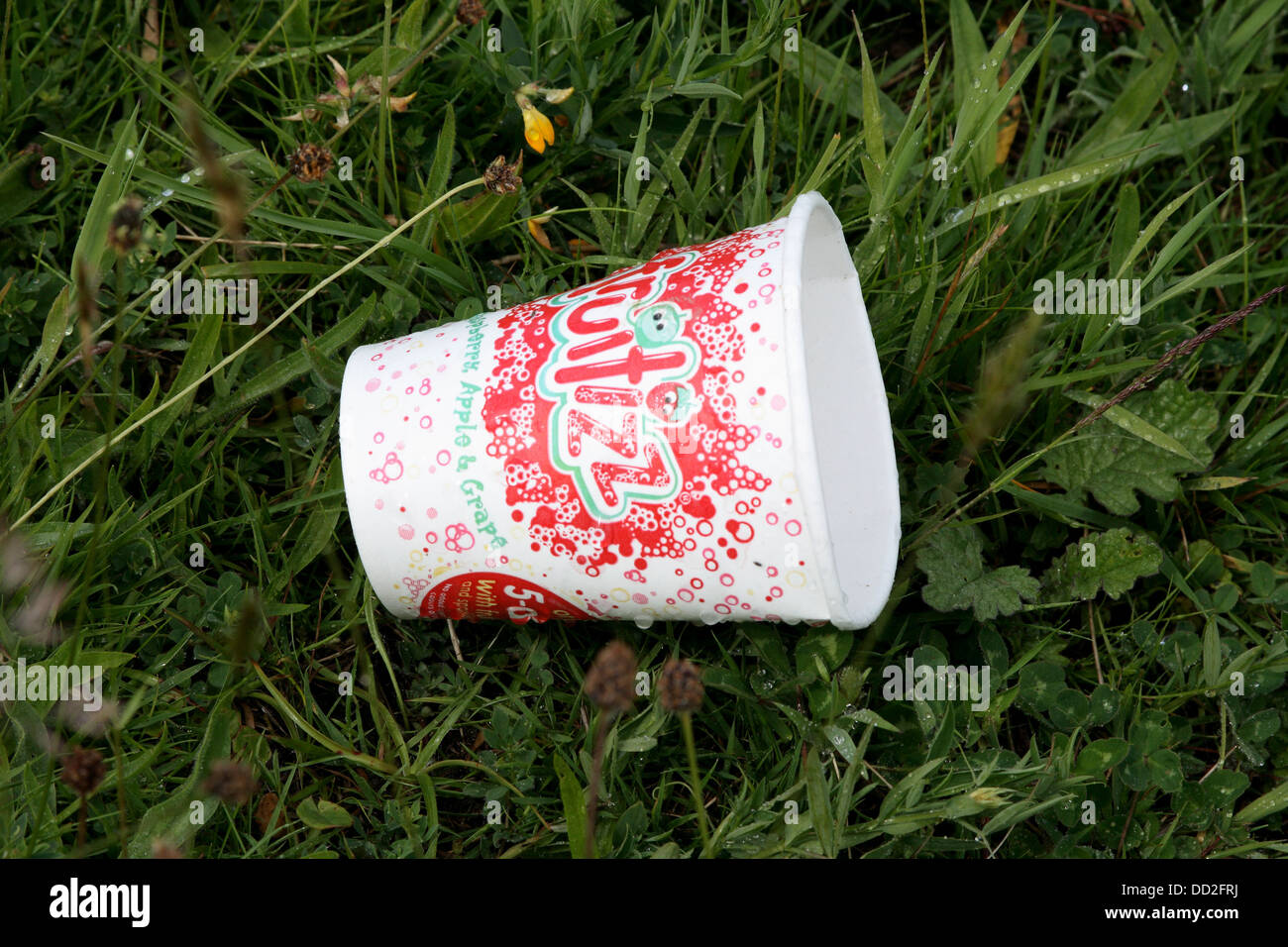 Litter. A paper cup has been discarded on the grass and left Stock ...