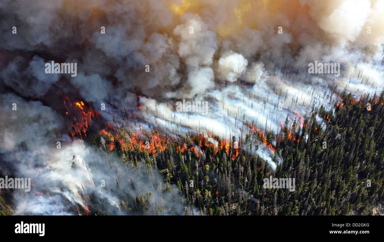 Aerial view of smoke and flames from the Druid Complex wildfire August 19, 2013 in Yellowstone National Park, MT. The wild fires started by lightening strikes have not closed the park to visitors. Stock Photo
