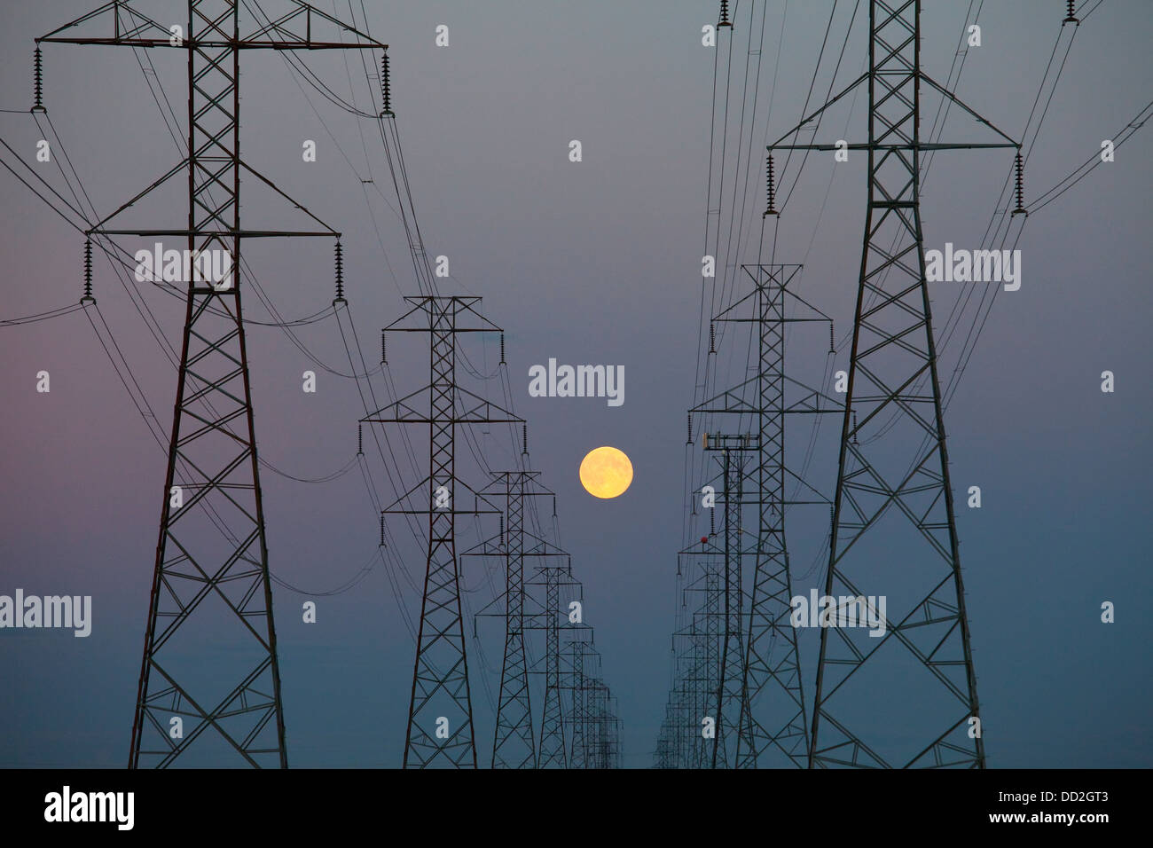Power Transmission Lines At Dusk; Beaumont, Alberta, Canada Stock Photo