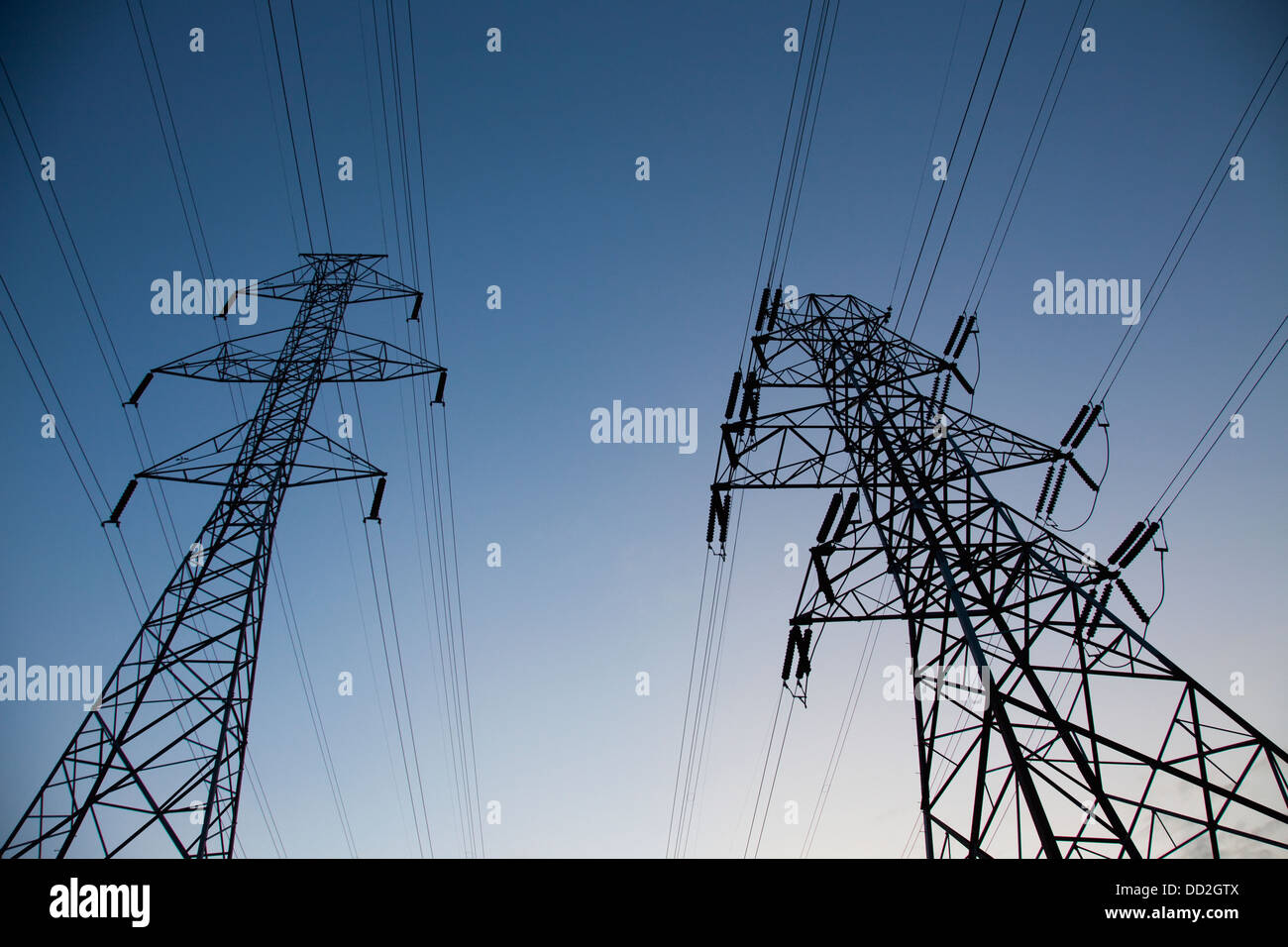 Power Transmission Lines At Dusk; Beaumont, Alberta, Canada Stock Photo