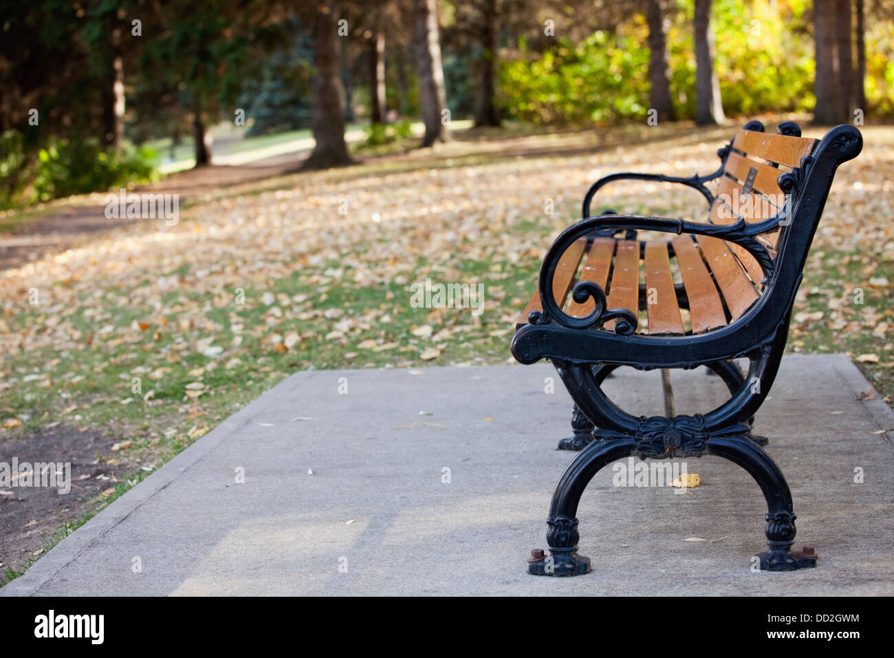 Park Bench At A Park In Autumn Edmonton Alberta Canada Stock