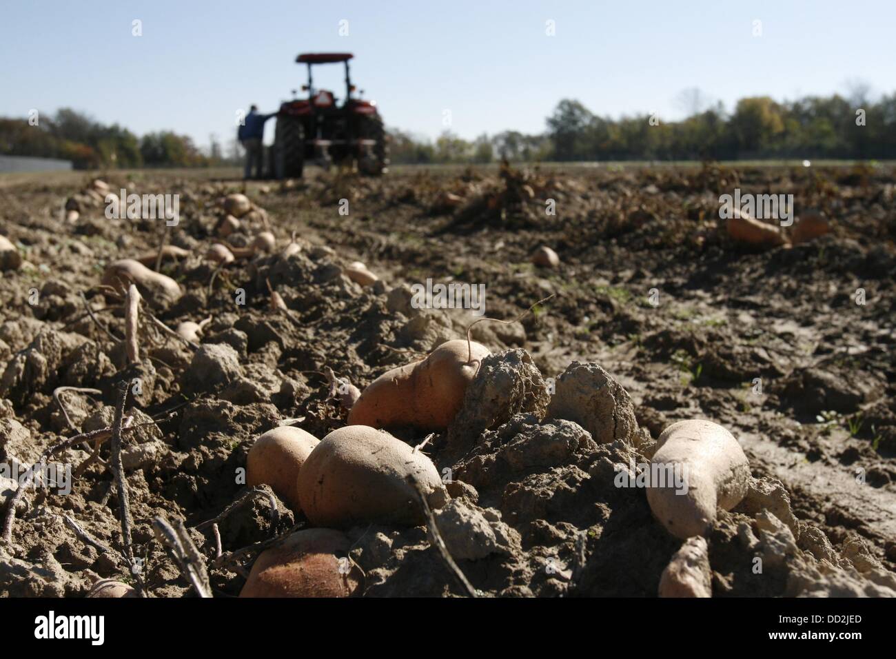 Mound bayou hires stock photography and images Alamy