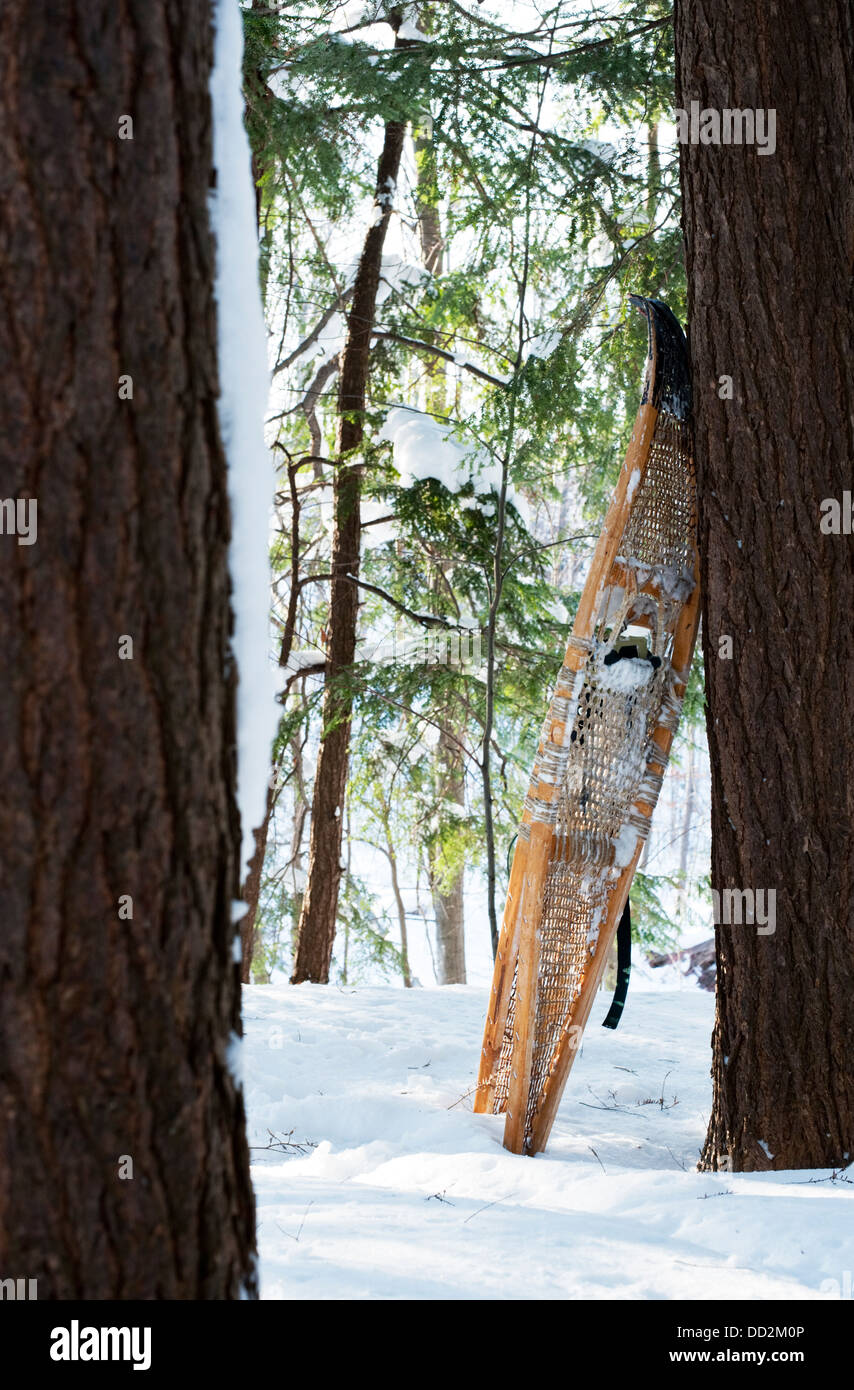 Traditional snowshoes in the winter woods. Stock Photo