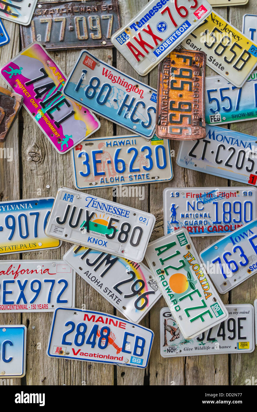 A display of various license plates from different states in the United