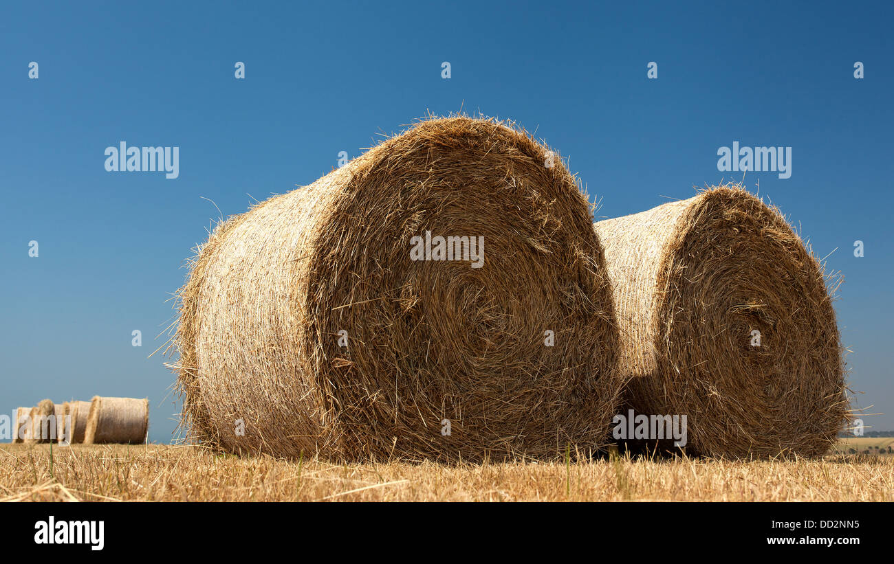 Large round bales of golden straw with background of a blue sky Stock ...